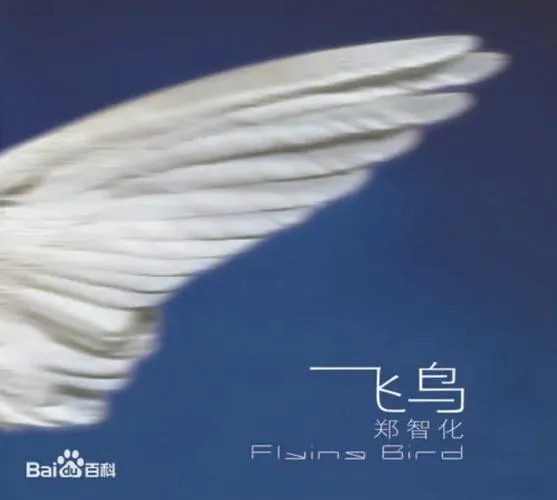 《飞鸟》v20220424 官方简体中文版