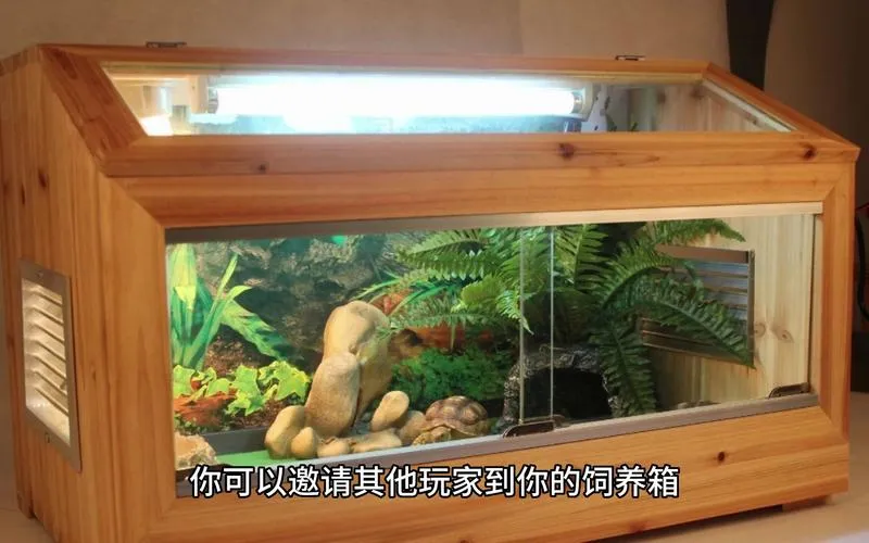 《饲养箱建造者》Build.10649197 官方简体中文版
