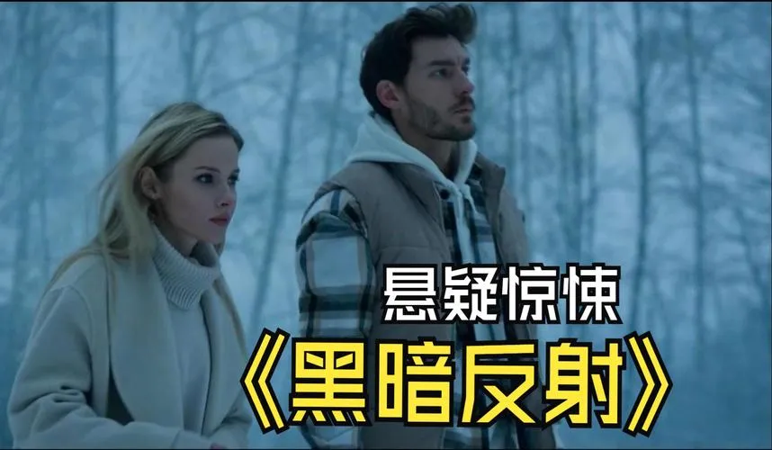 《黑暗反射》v20220119 官方简体中文版