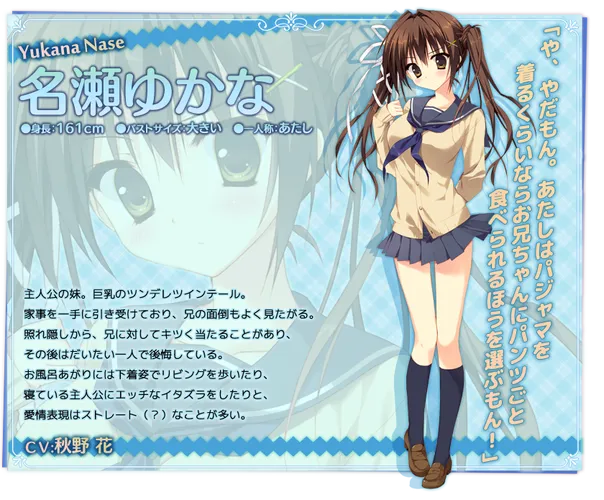 妹のセイイキ 妹的圣域 PC+KRKR平台 gal类型