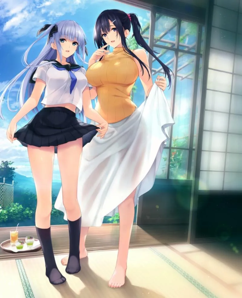 水蓮と紫苑 水莲与紫苑 PC+KRKR版本 gal类型