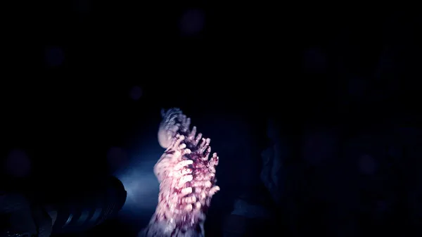 图片[5]-【PC】森林之子 Sons Of The Forest v1.0.53884【ACT/生存/开放世界】官方中文-豫语游戏库
