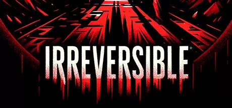 不可逆／IRREVERSIBLE