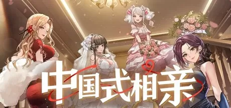 中国式相亲／Matchmaking Inc.