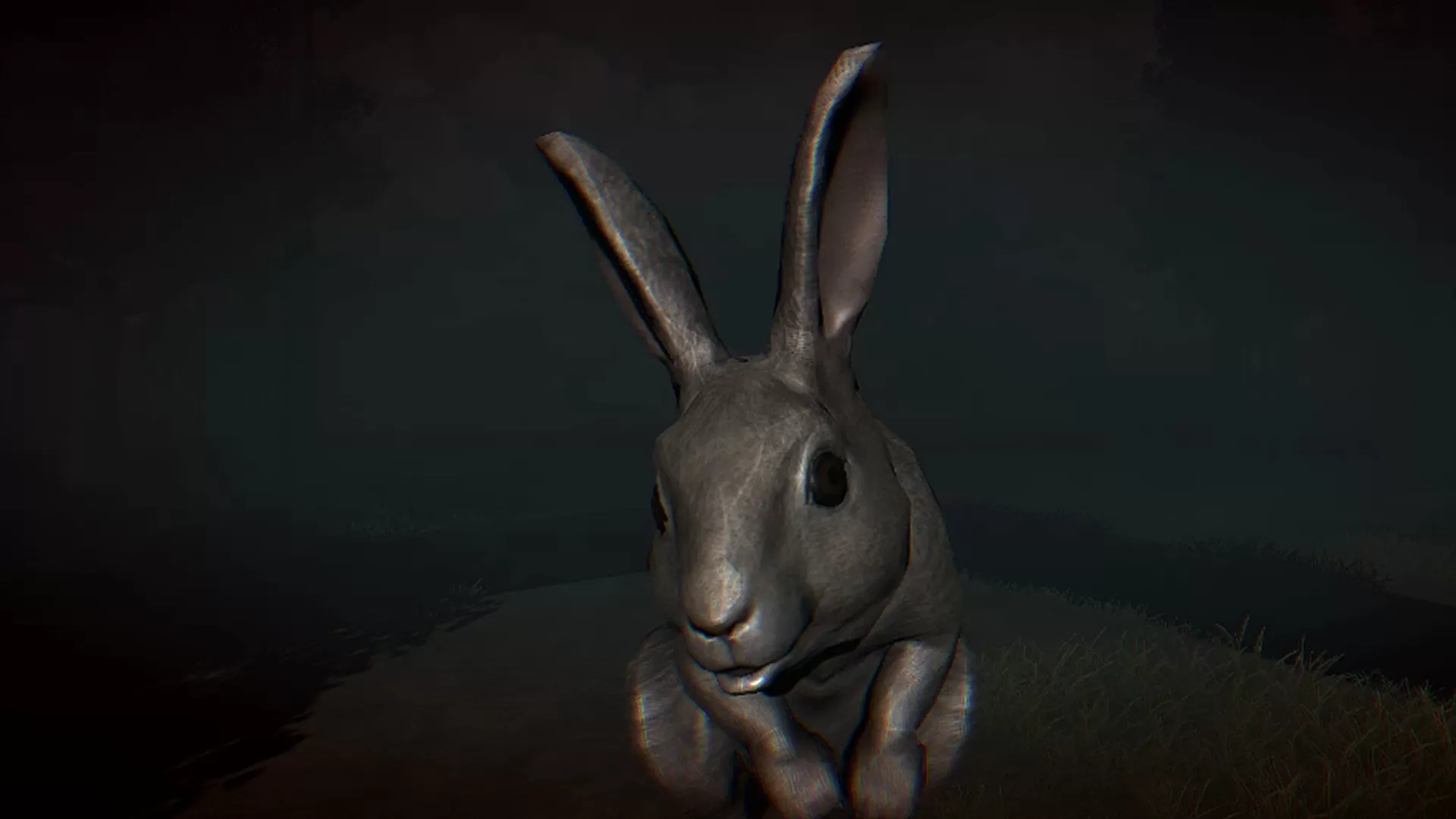 兔子骚动／Rabbit Riot