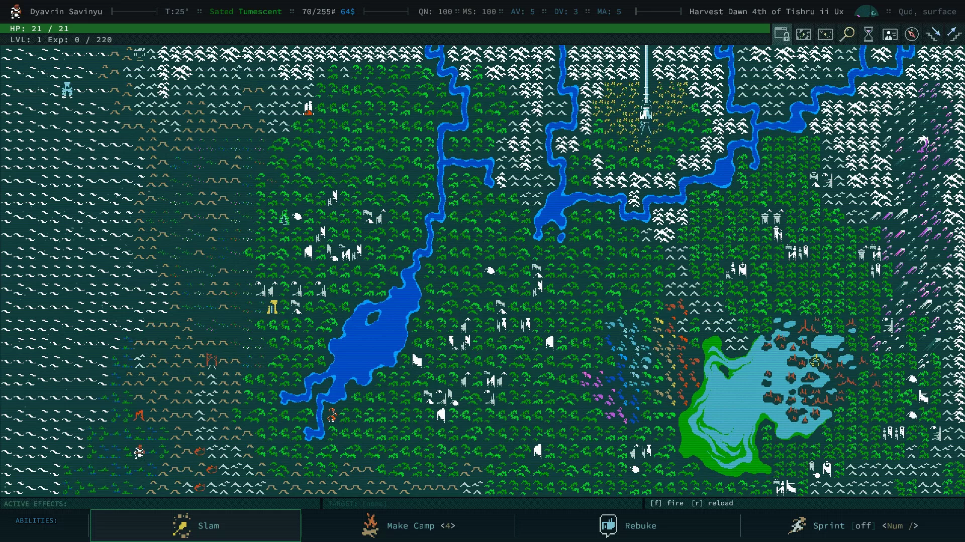卡德洞窟／Caves of Qud
