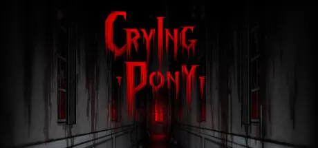 哭泣的小马／Crying Pony