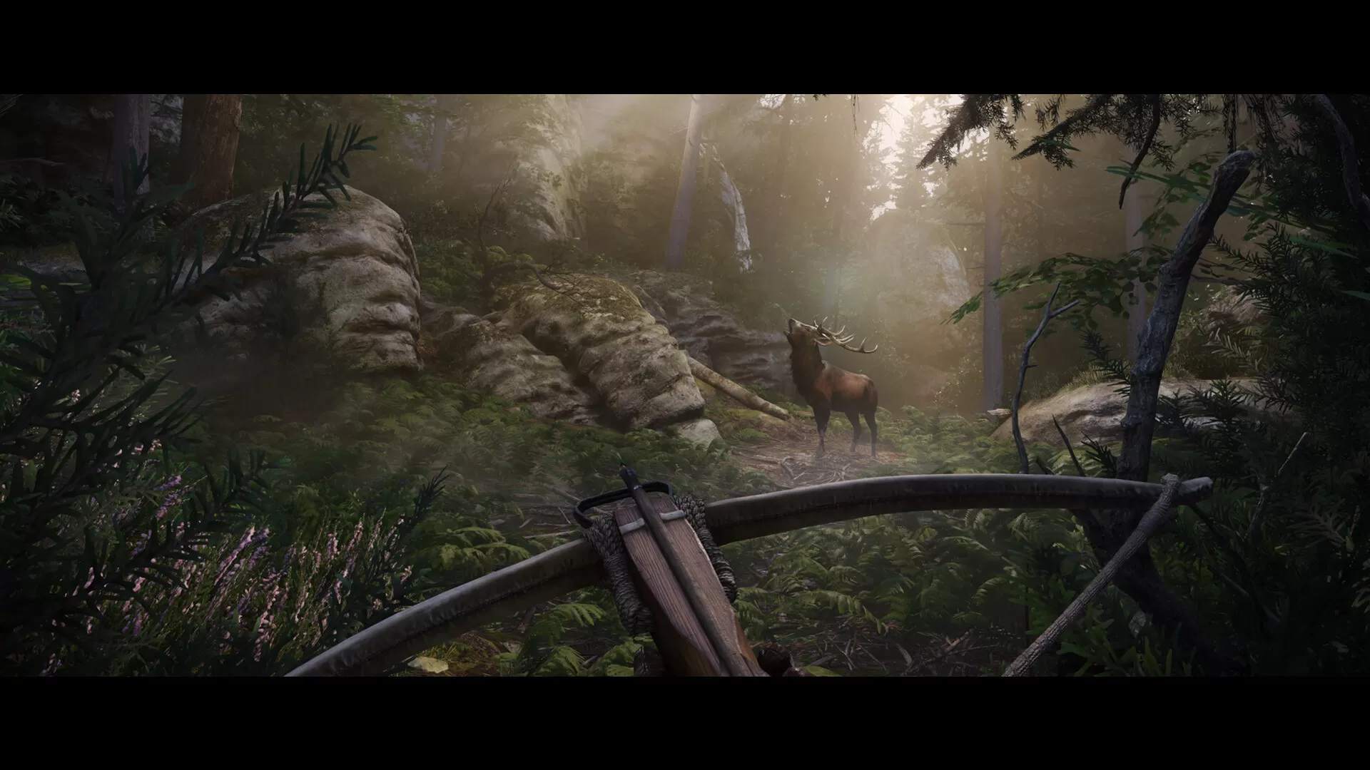 天国：拯救2／Kingdom Come： Deliverance II