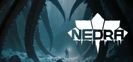 奈德拉／NEDRA／（STEAM：￥44.00）