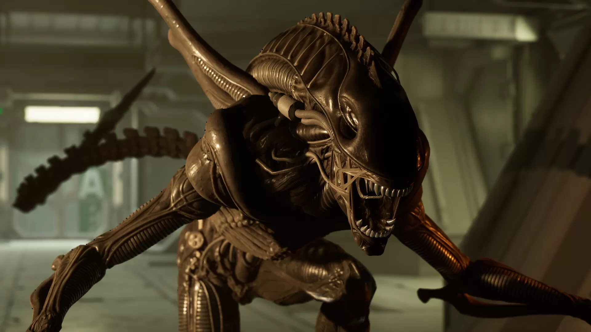 异形：侠盗入侵／Alien： Rogue Incursion／支持VR