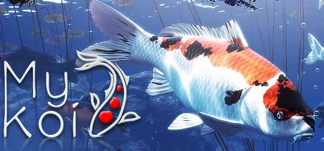 我的锦鲤／My Koi
