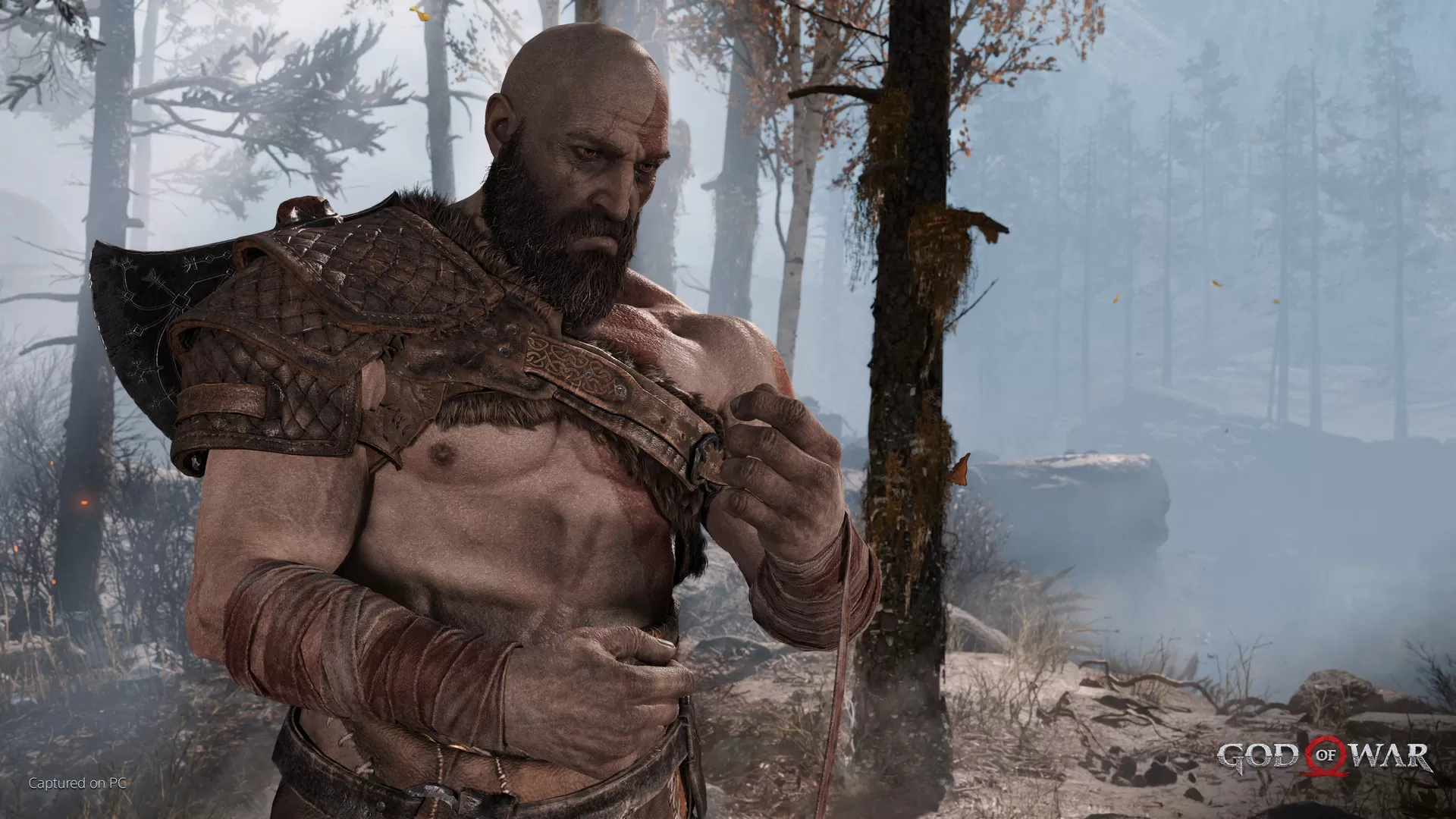 战神4／God of War（年度动作游戏巅峰之作）