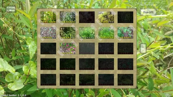 昆虫探寻者／Insect Seeker
