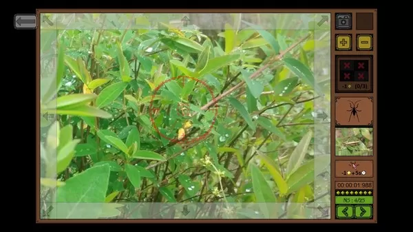 昆虫探寻者／Insect Seeker