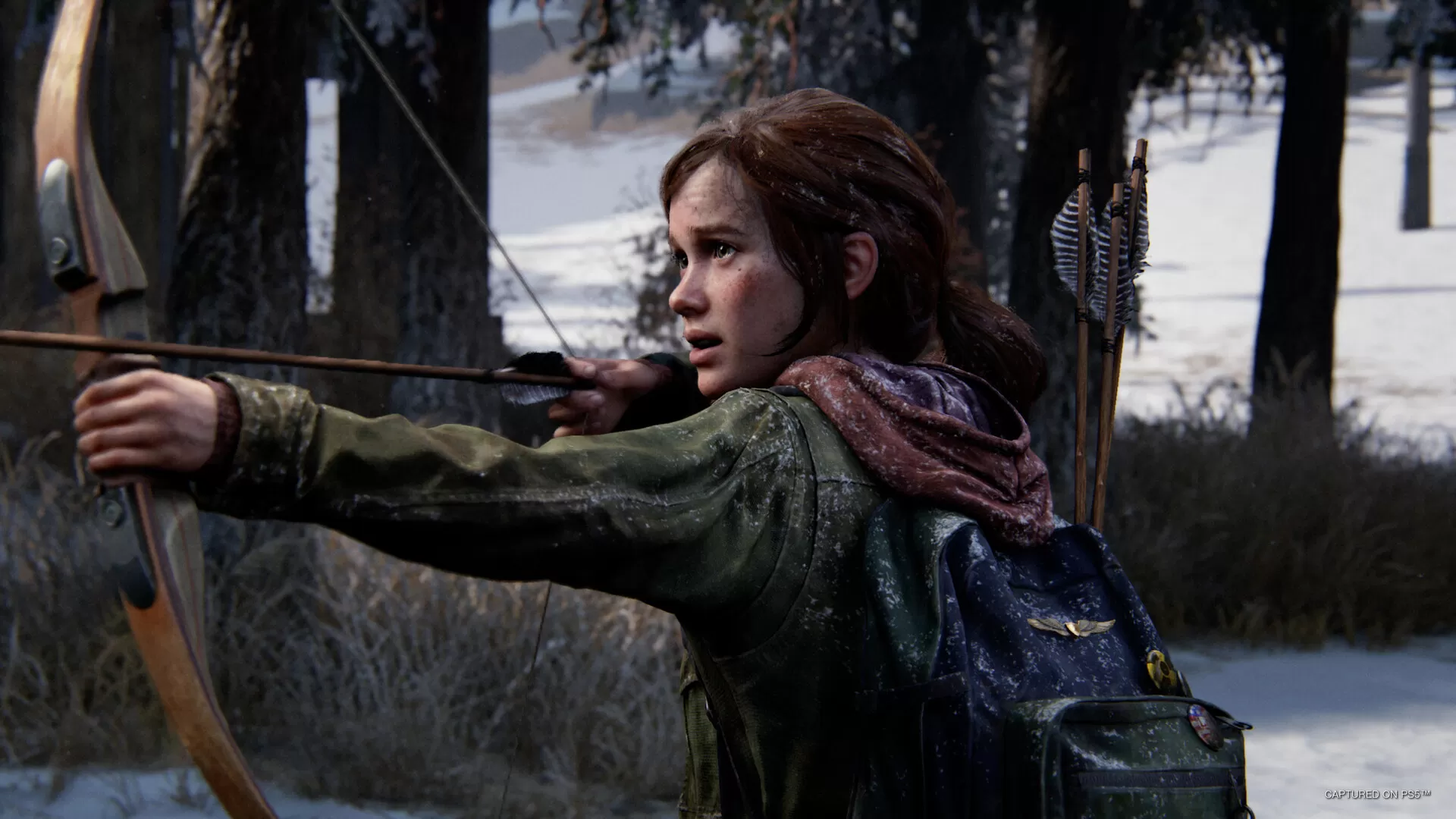 最后生还者：第一部／美国末日／美末1／The Last of Us Part I（v1.0.2-数字豪华版-全DLC）