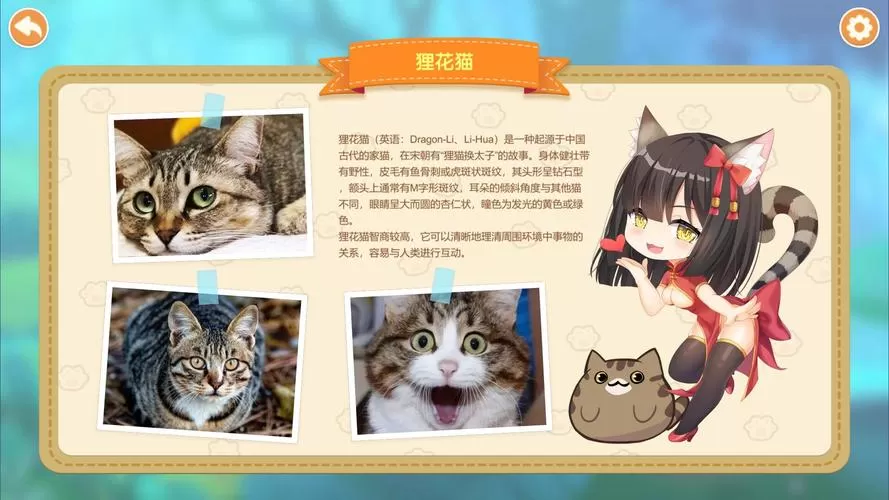 猫姑娘喵喵岛／Miss Neko 2（Build.7885811+DLC）