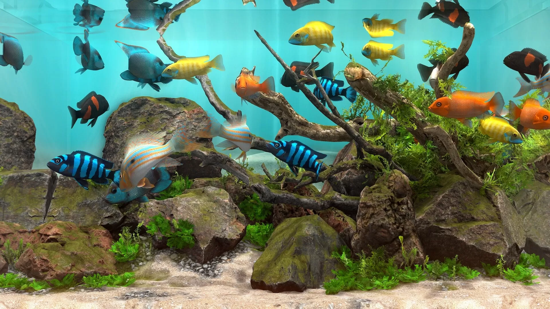 玻璃背后：水族馆模拟器／Behind Glass： Aquarium Simulator