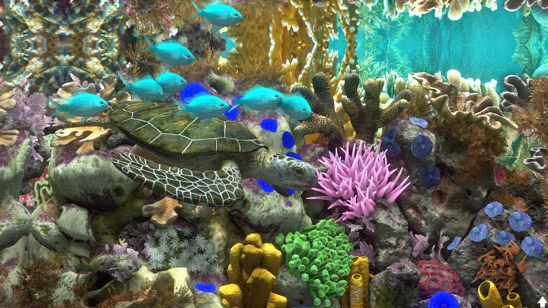 玻璃背后：水族馆模拟器／Behind Glass： Aquarium Simulator