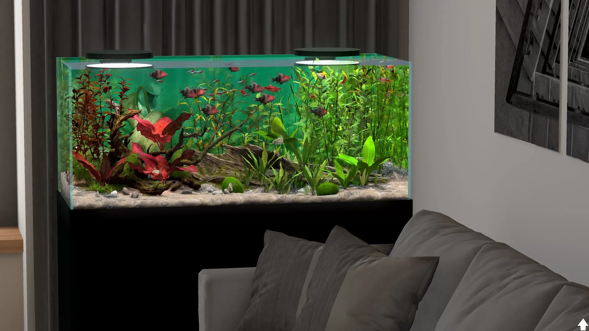 玻璃背后：水族馆模拟器／Behind Glass： Aquarium Simulator