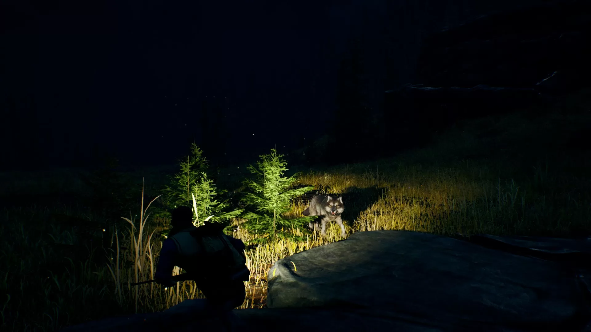 辽阔旷野／Open Country