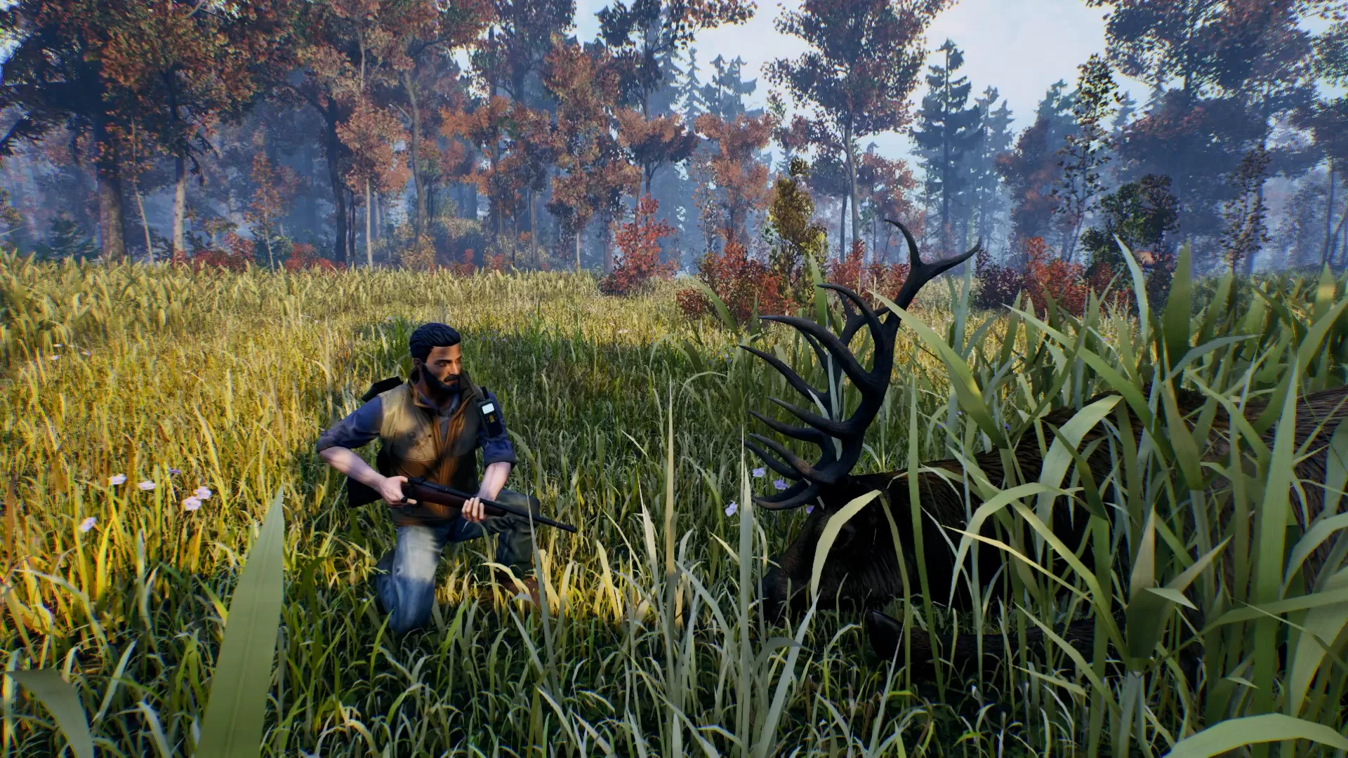 辽阔旷野／Open Country