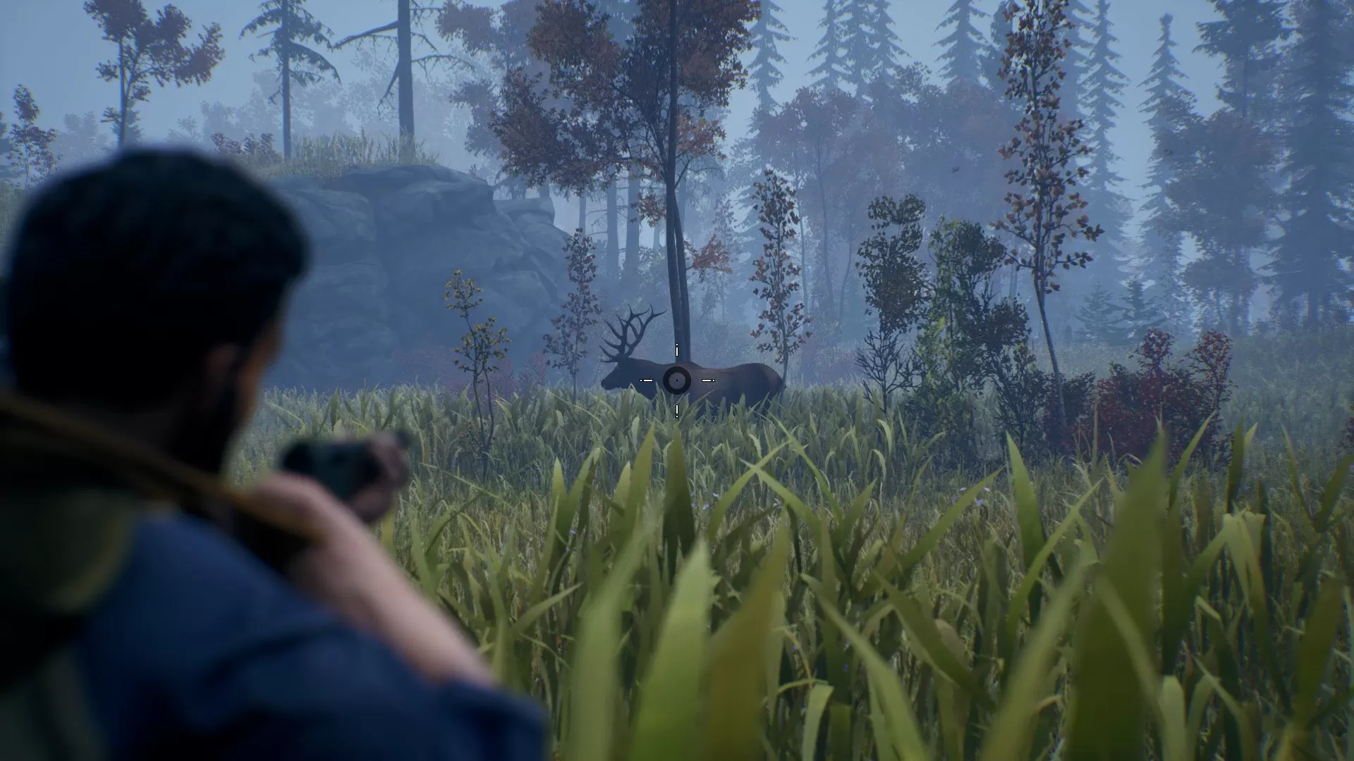 辽阔旷野／Open Country