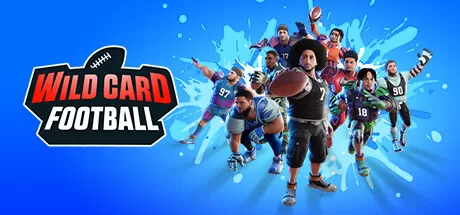 野卡橄榄球／Wild Card Football